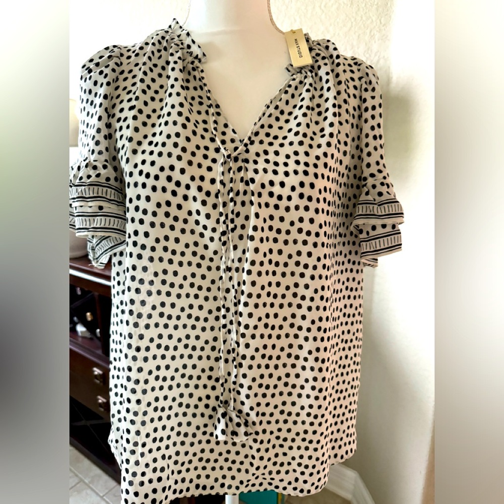Polka Dot V-Neck Tie Blouse - Black/White